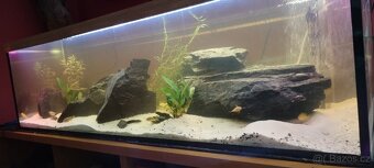 Akvarijní set 350L s externím filtrem - 5