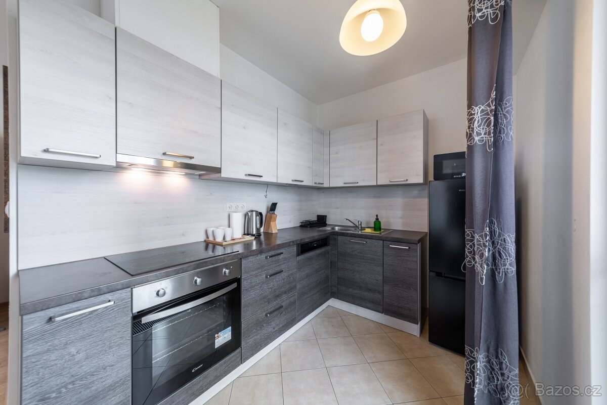 Pronájem bez zprostředkovatelů 2kk v centru Prahy 3 - 6