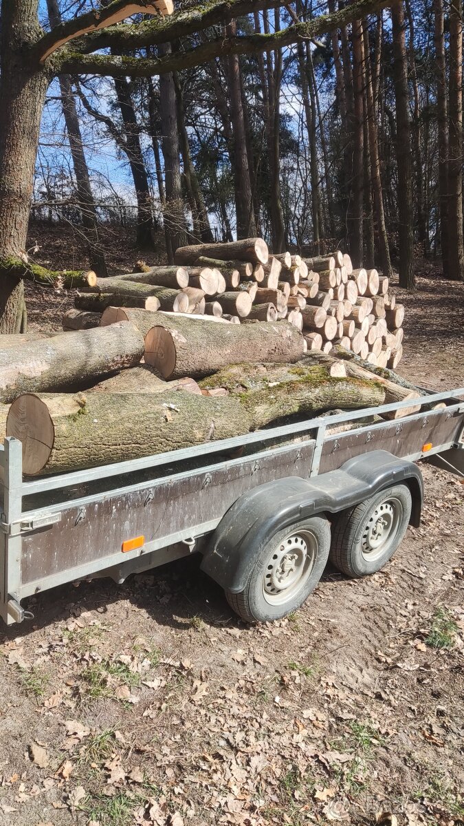 Zemní práce, štípání dřeva - 6