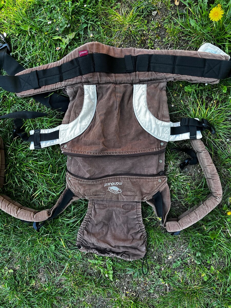 Manduca - 6
