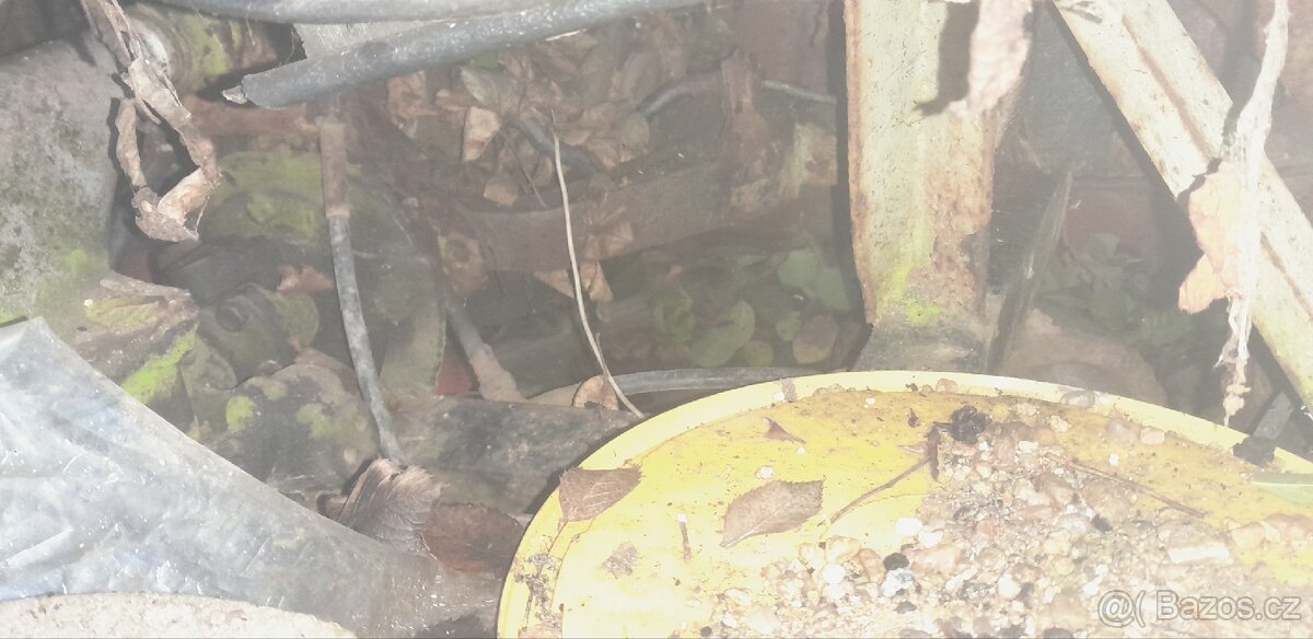 Traktor domácí výroby Škoda 1202 - 6