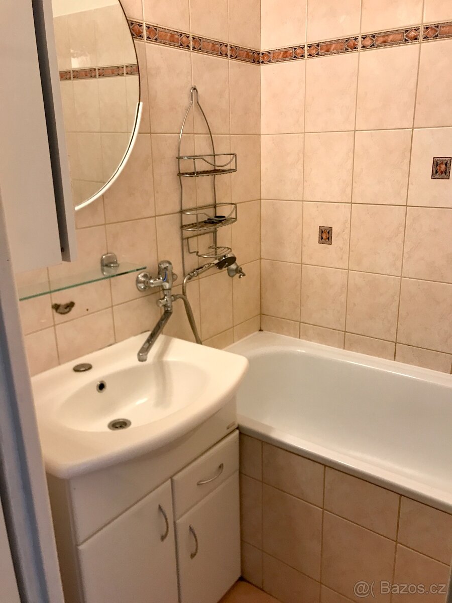 Pronájem 3+1, POD HVĚZDÁRNOU - 6