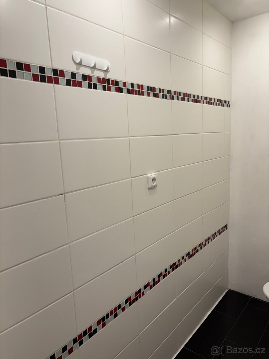 Byt 1+kk - pronájem - 6