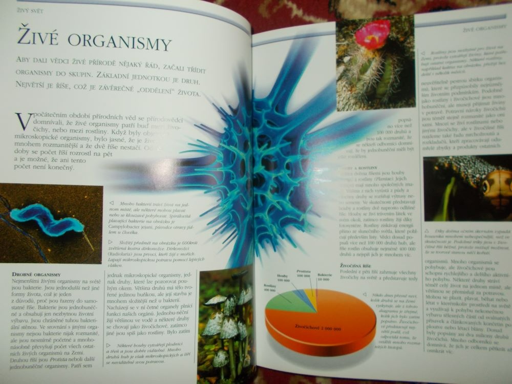 Encyklopedie Přírody - 6