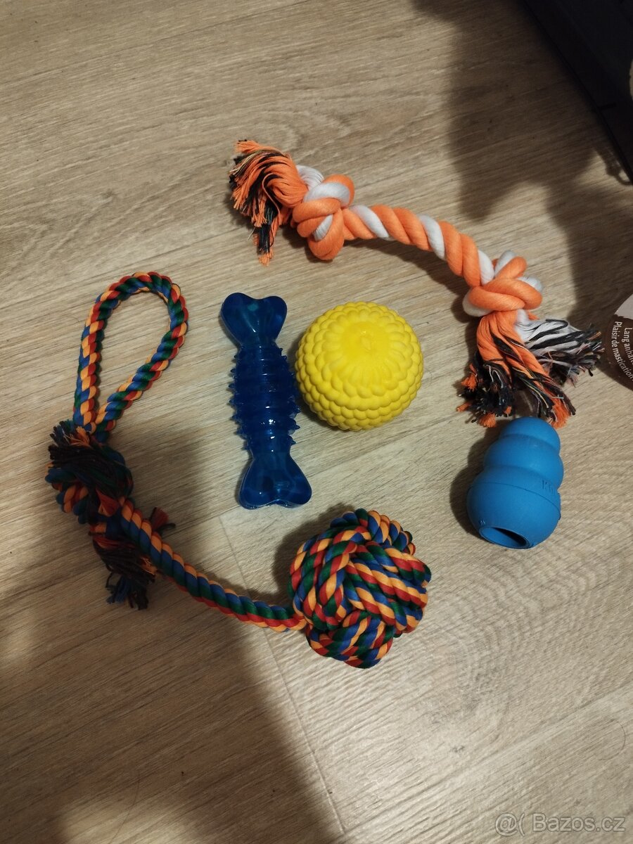 Základní výbava pro střední až velké štěně - 6