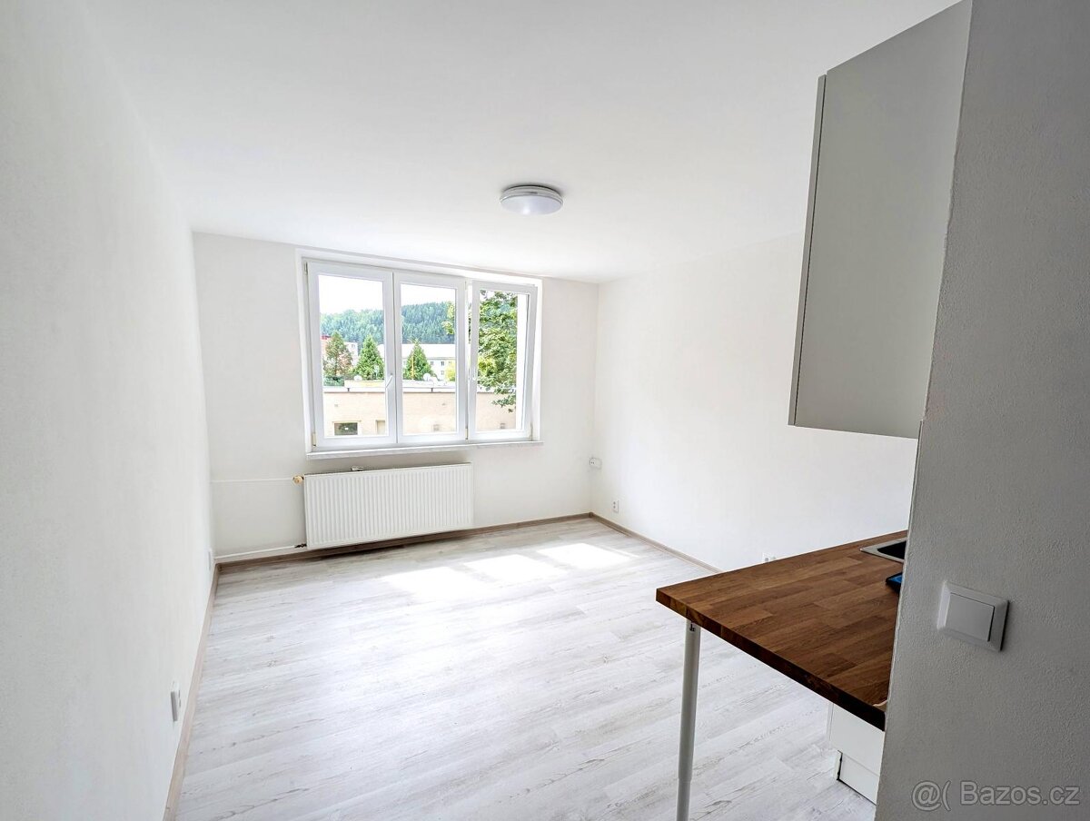 Prodej bytu 1+kk, 22,54 m B. Smetany 1748, Kraslice - 6