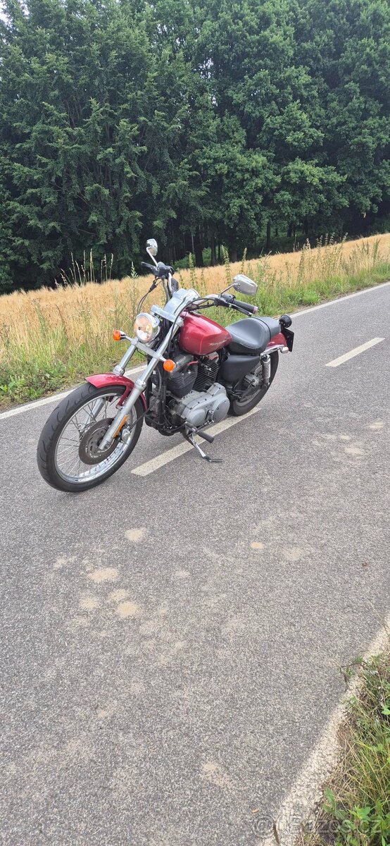 Harley Davidson 883 Sportster 2005 - 6