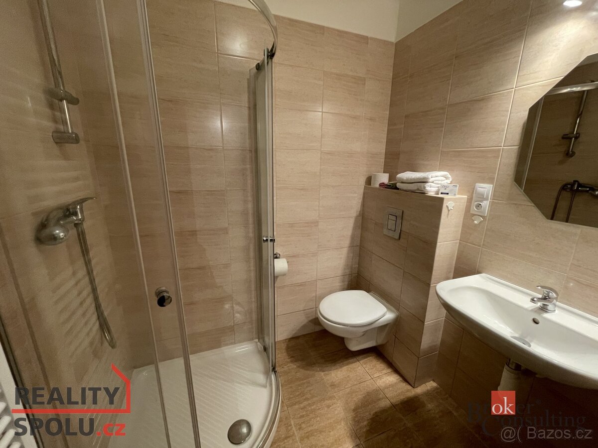 Pronájem, byty/1+1, 25 m2, Třebízského 976/21, 37006 České B - 6