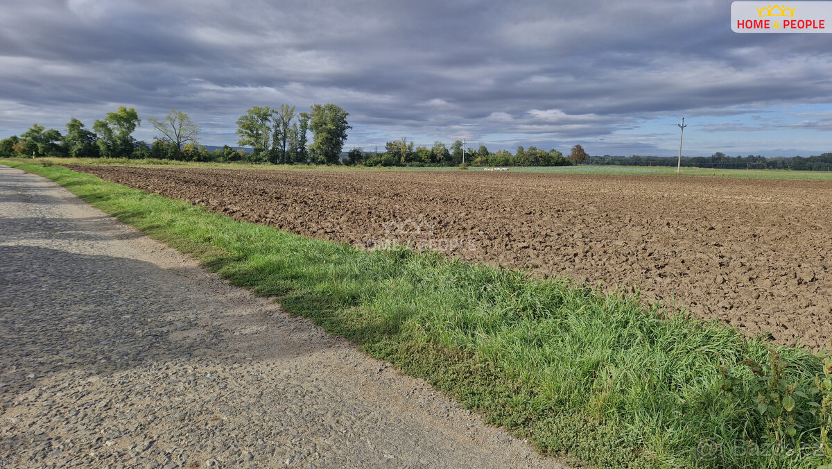 Prodej pozemku, 12361 m2, Malešovice - 6