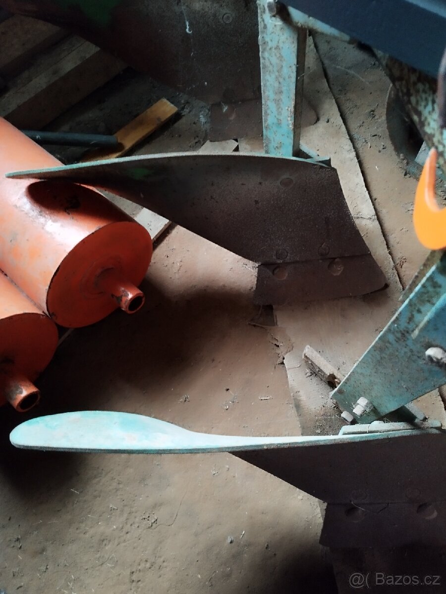 Pluh tříradličný - 6