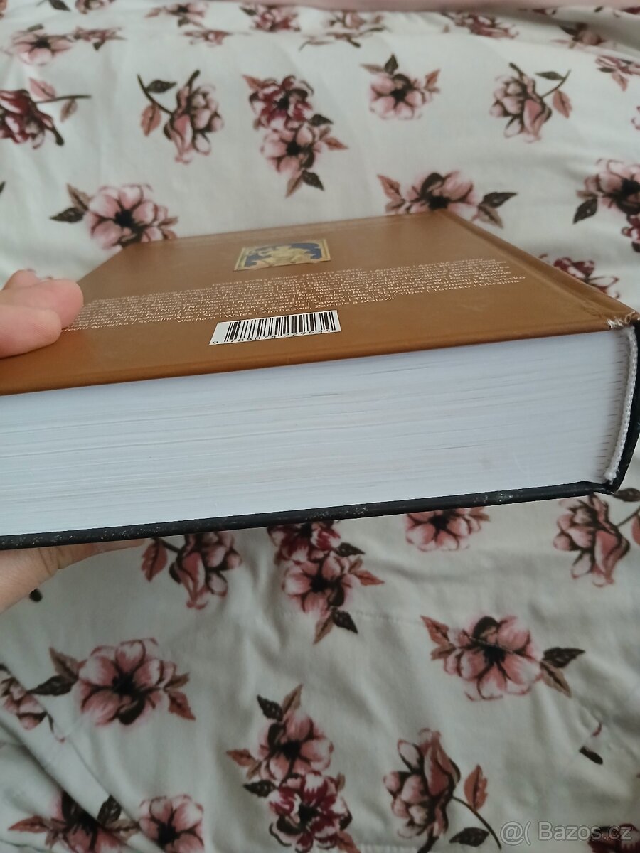 Dějiny Británie - 6