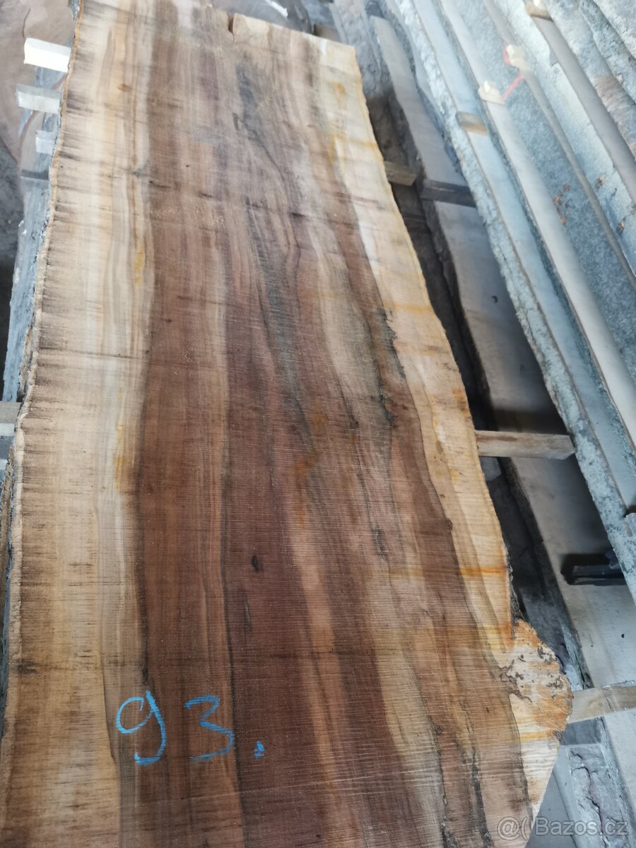 Fošny jabloň XXL - 6