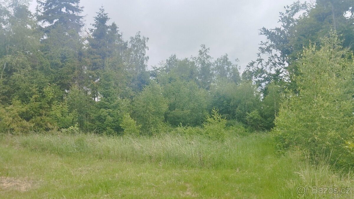Obytná buňka s přístřeškem + les - 6