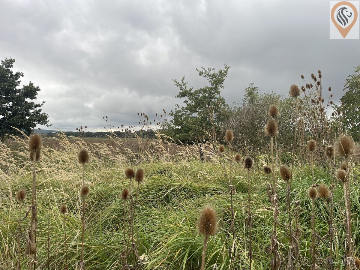 Prodej orné půdy o rozloze 51 051m2 - 6