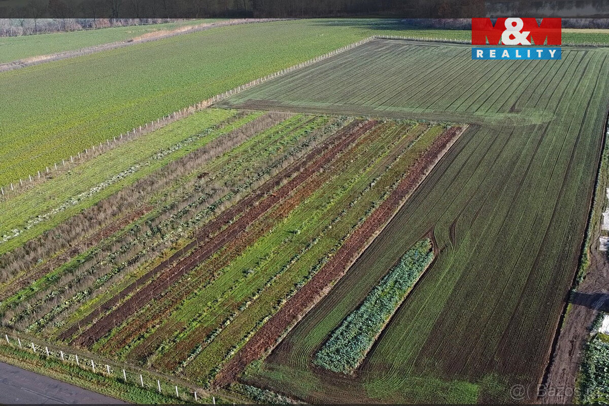 Prodej ovocného sadu, 9979 m², Nové Dvory u Kutné Hory - 6