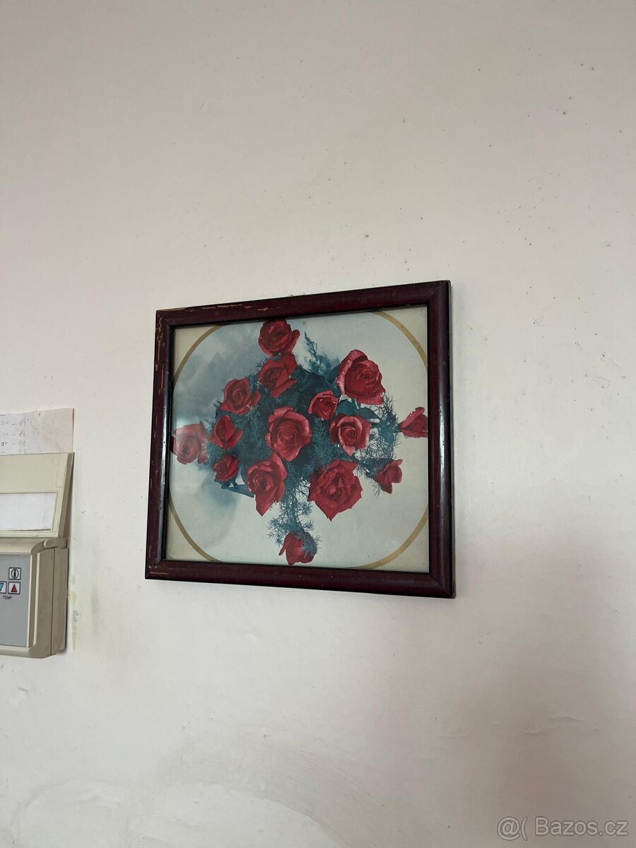 Prodám obrazy - 6