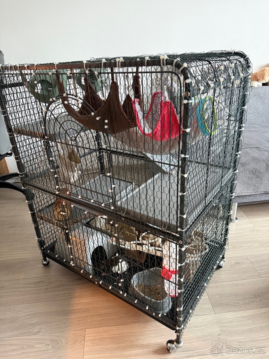 Laboratorní potkan a klec - 6