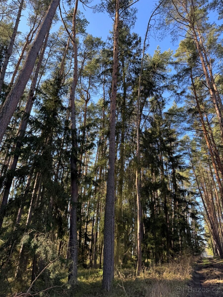 Prodám pozemky v katastrálním území Nemějice - 6