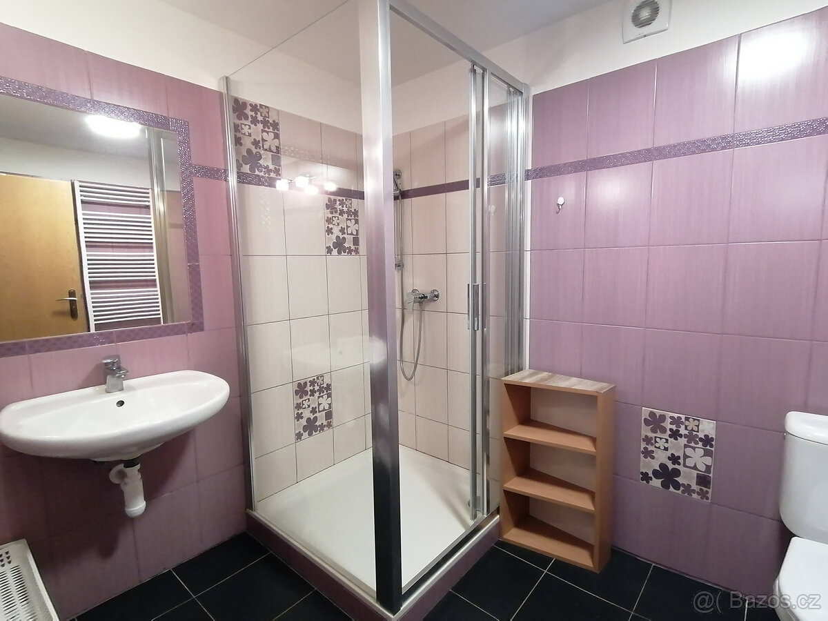 Pronájem, byt 1+kk, 33 m2, Zábřeh - 6