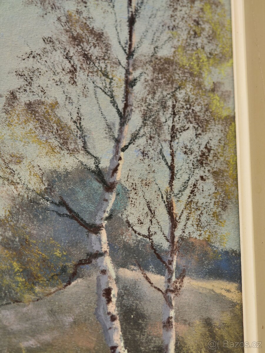 Cox Garstin (1892–1933), krajina, pastel pod sklem, 73 × 63 - 6