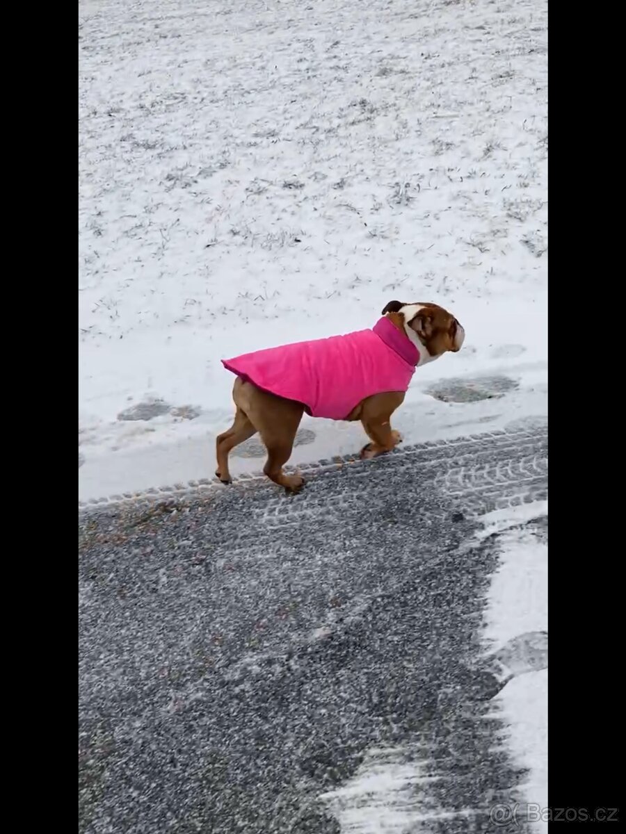 zimní vesta Surtep Animals Street - 6