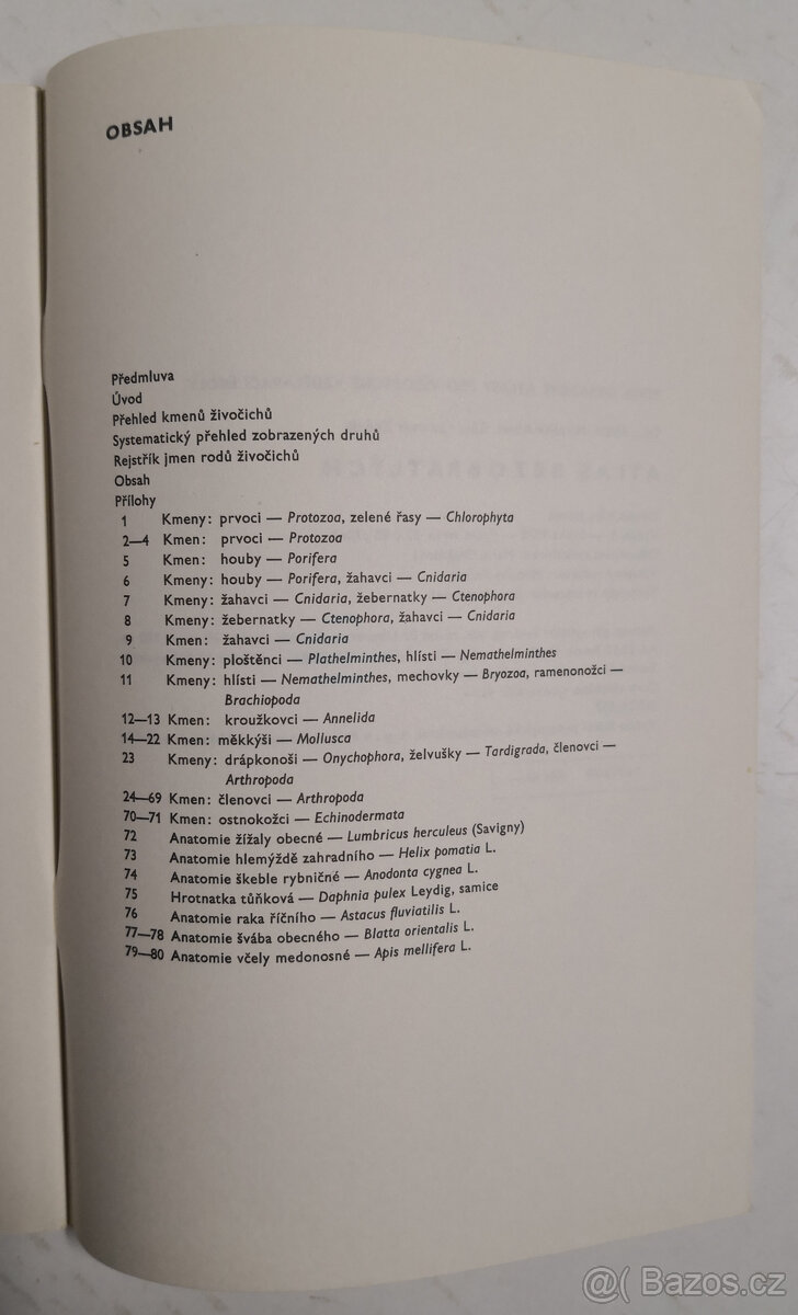 Atlas bezobratlých - 6