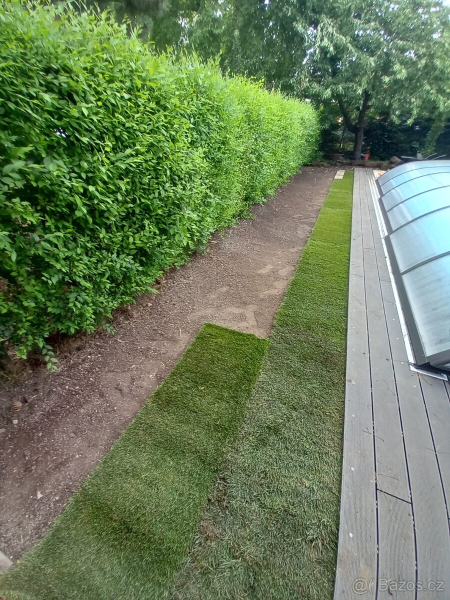Zahradnické práce - 6