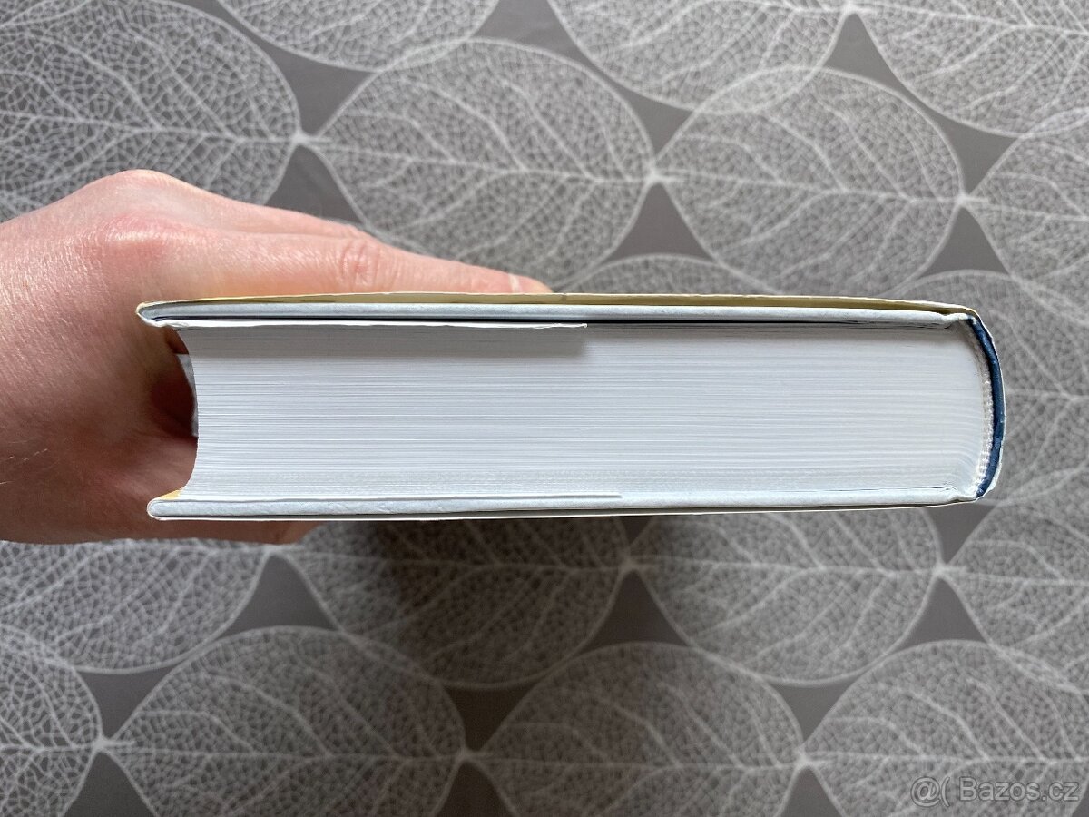 Nová kniha Otázka cti - Letci RAF za druhé světové války - 6