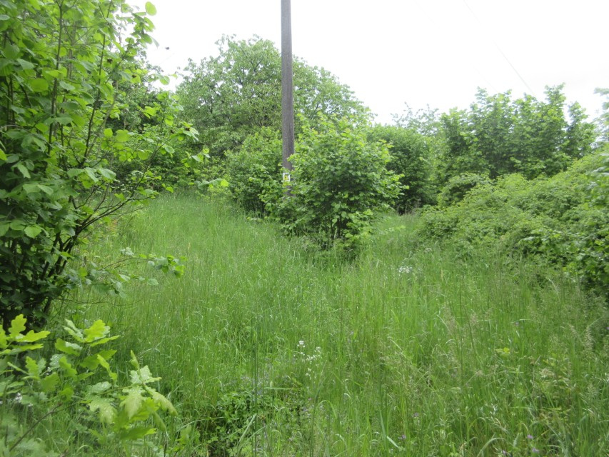 NA PRODEJ - POZEMKY 2.006 m2, BOŠOVICE U ČÍŽOVÉ (PÍSECKO) - 6