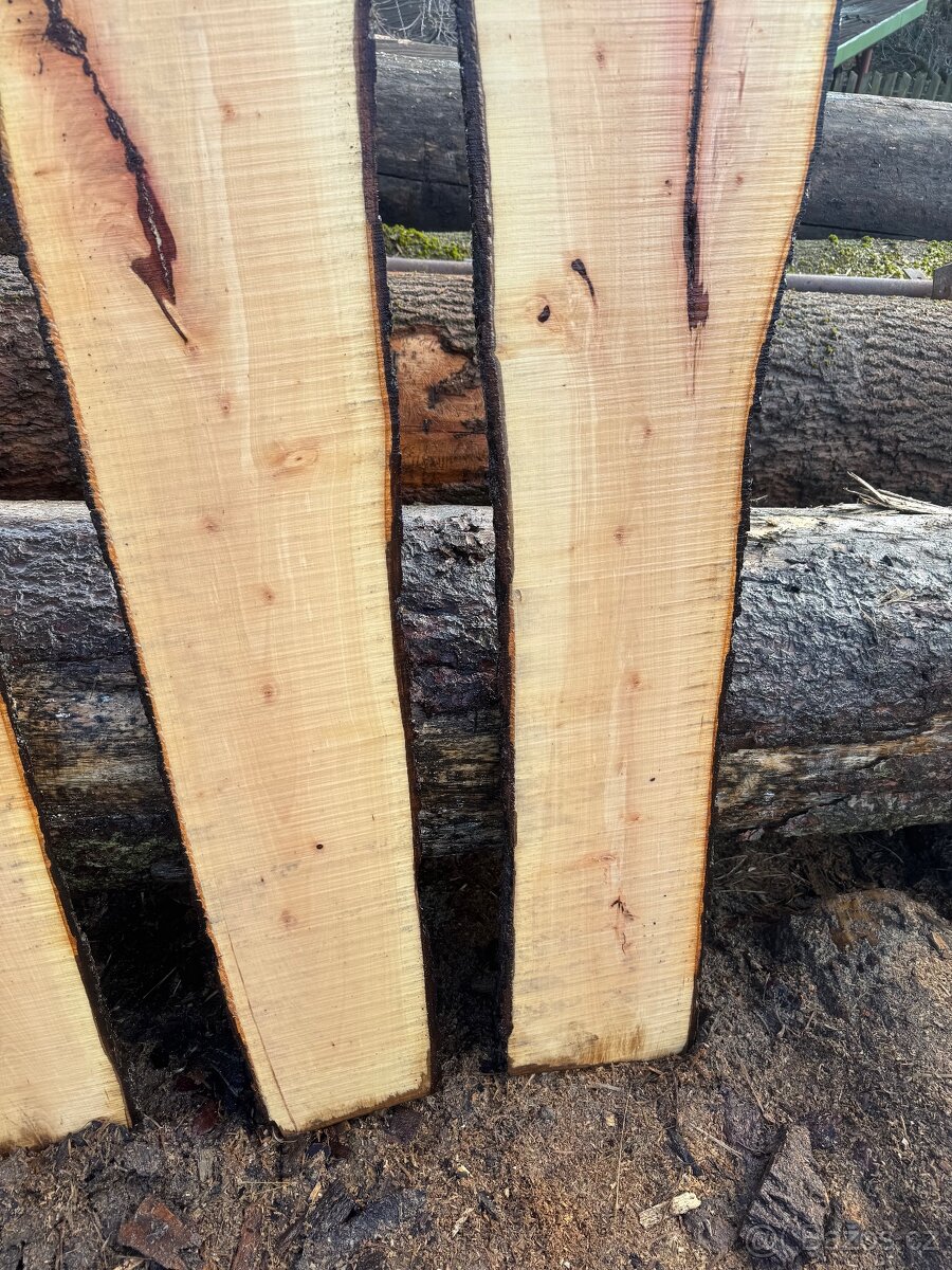 Kaštanové fošny - 6