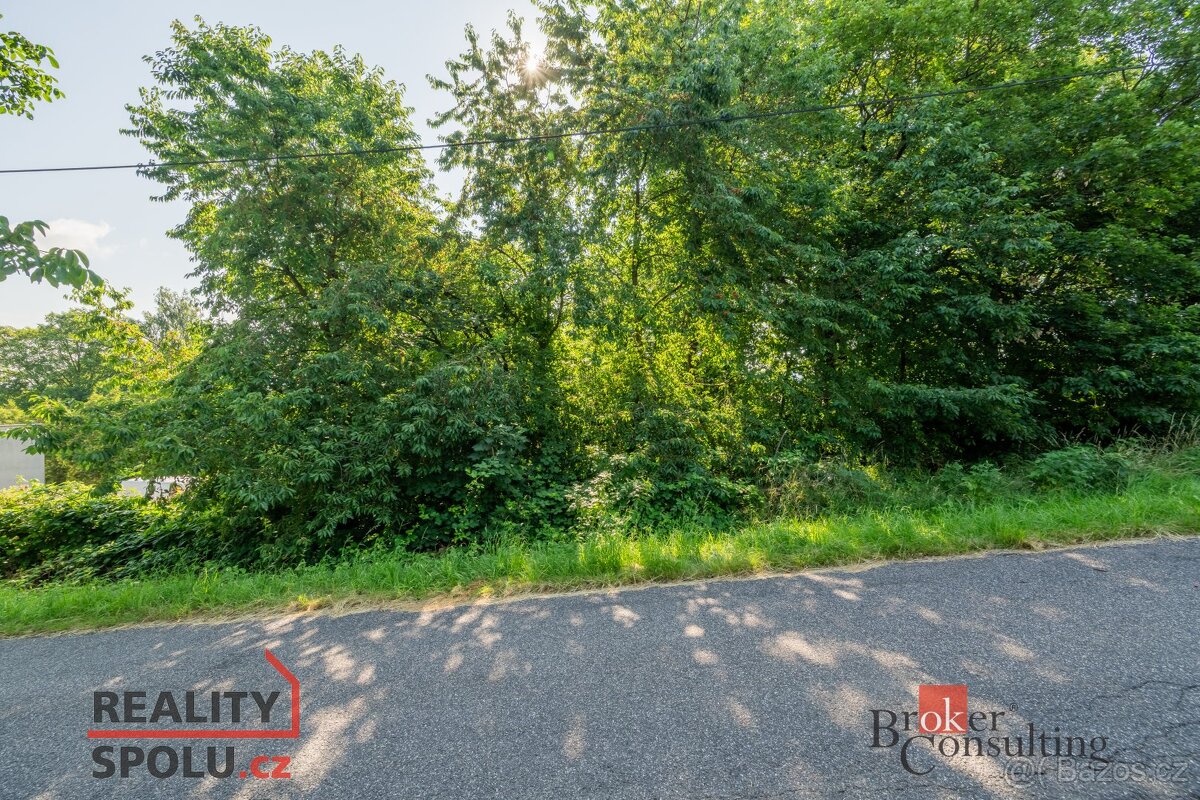 Prodej, pozemky/bydlení, 1100 m2, Hrádek nad Nisou, Liberec - 6