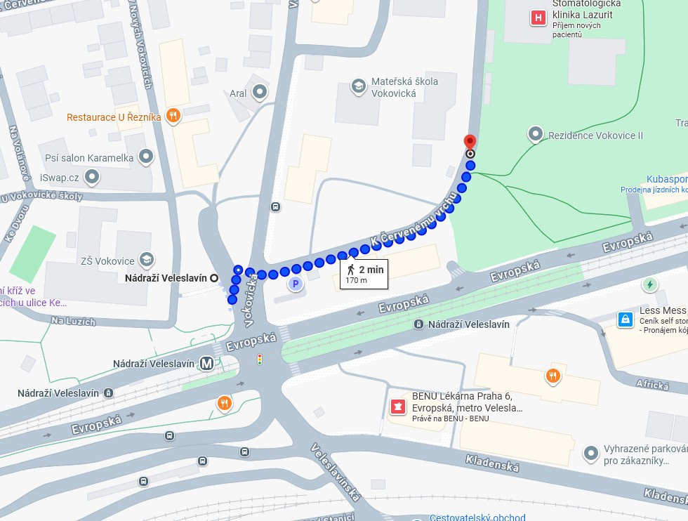 Pronájem garážového stání - Vokovice, Praha 6 - 6