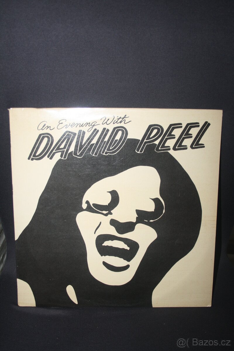 PRODÁM VELKÉ MNOŽSTVÍ LP DESEK - JAZZ , BLUES - 6