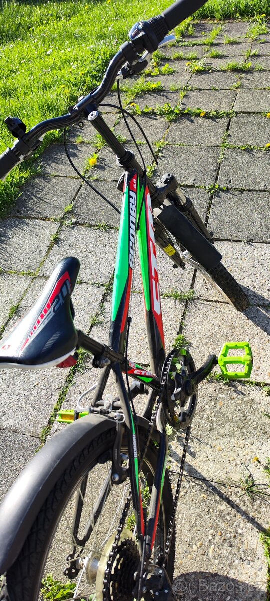 20 '' CTM 3 scooby - 6