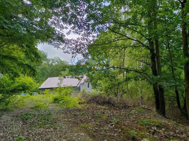 Prodej stavebního pozemku o velikosti 4292 m² v obci Skalka - 6