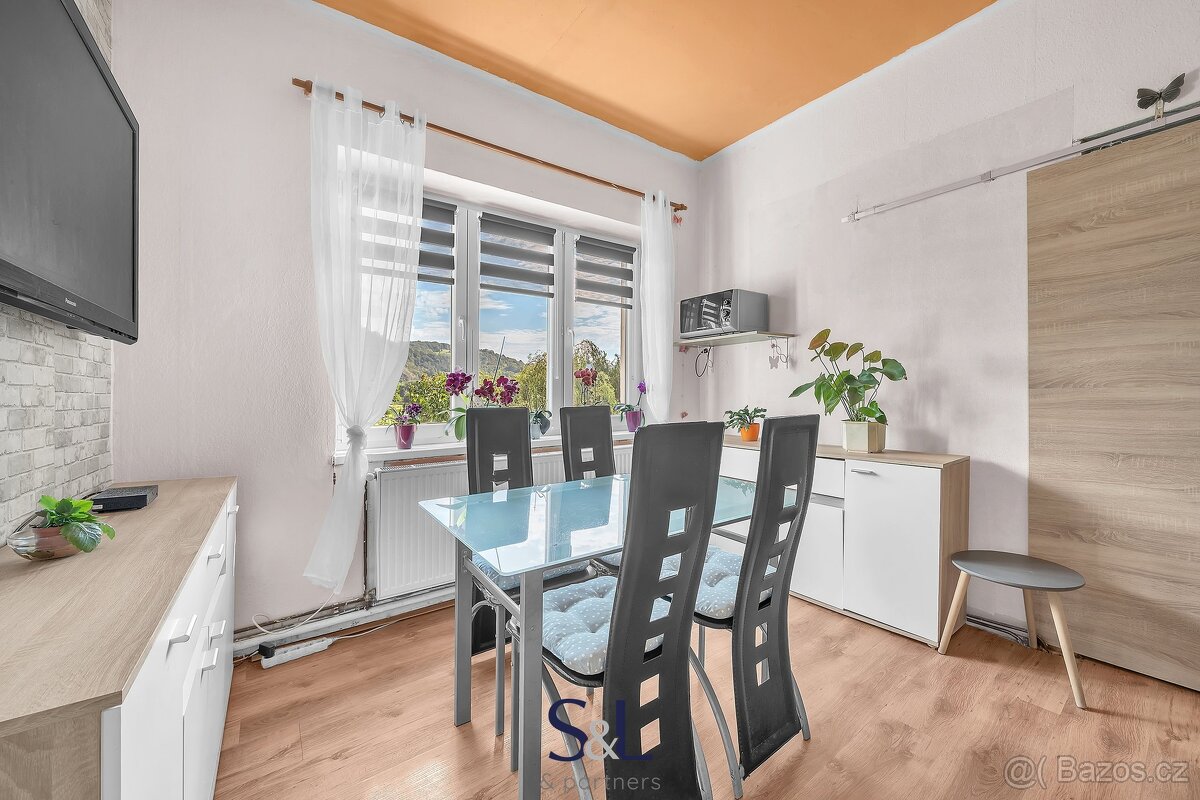Prodej bytu 2+1 47 m², Velké Březno - Valtířov, ev.č. 01338 - 6