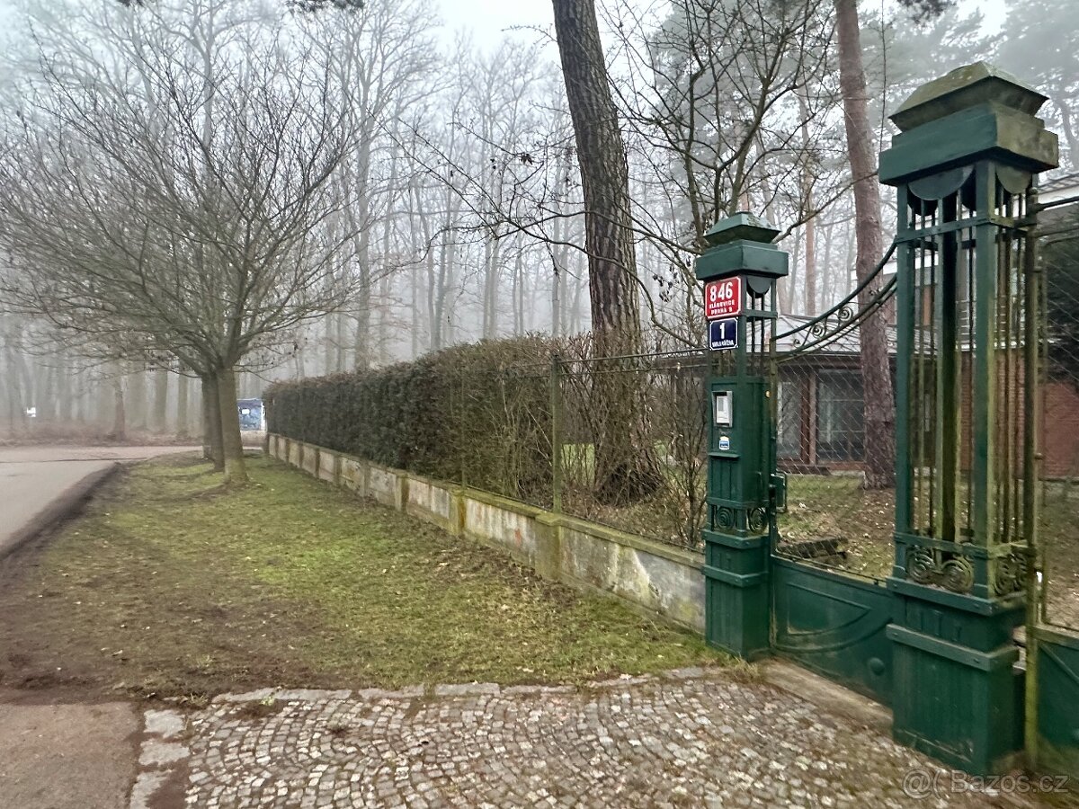 Kovaná brana s plotem - 6