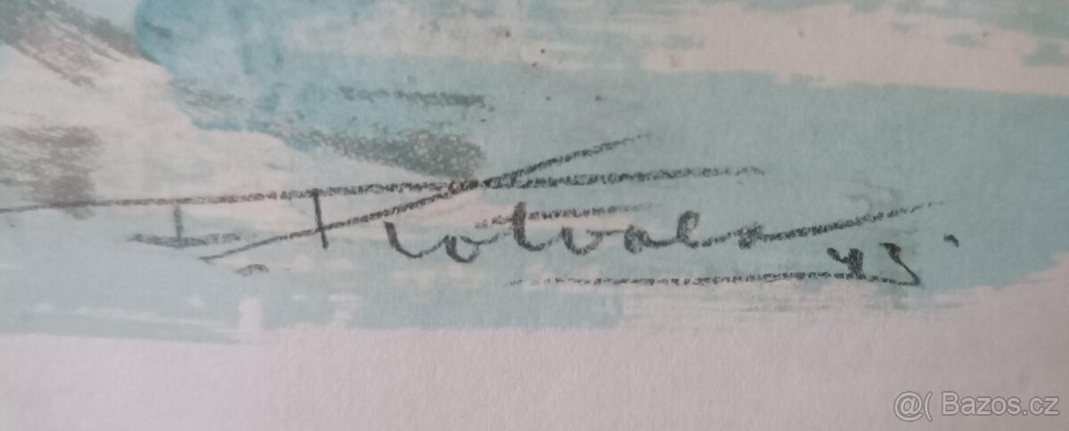 Grafiky a reprodukce - 6