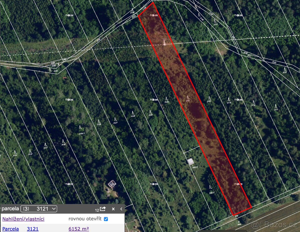 Prodej lesa v k.ú. Malhostovice - Tišnov - 6