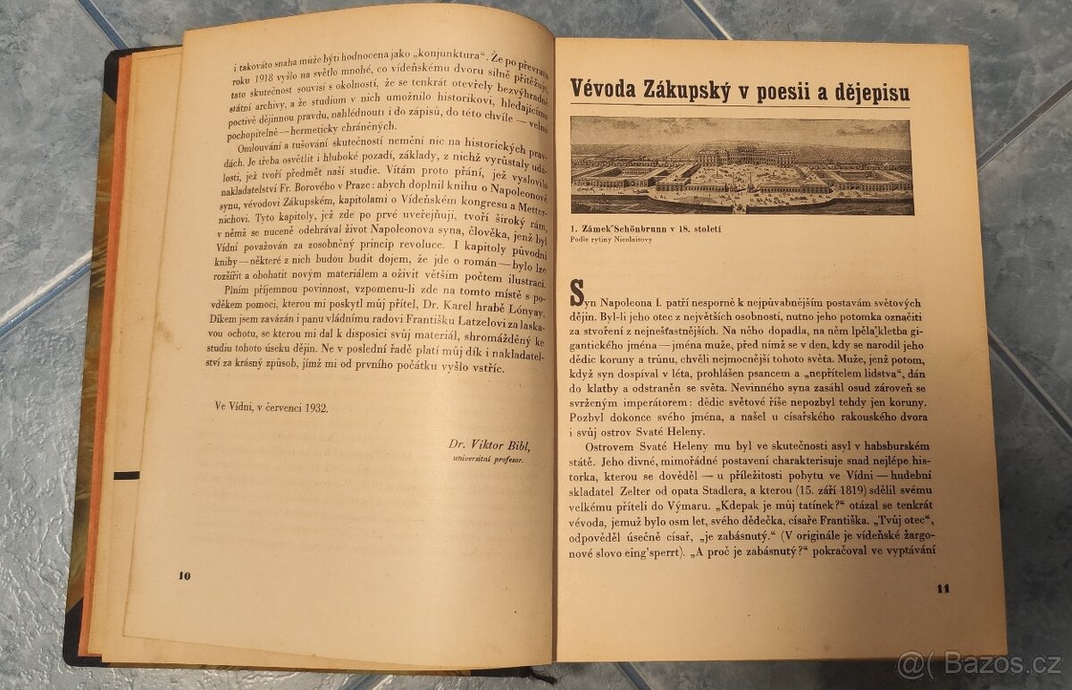 Orlík _ Viktor Bibl - 6