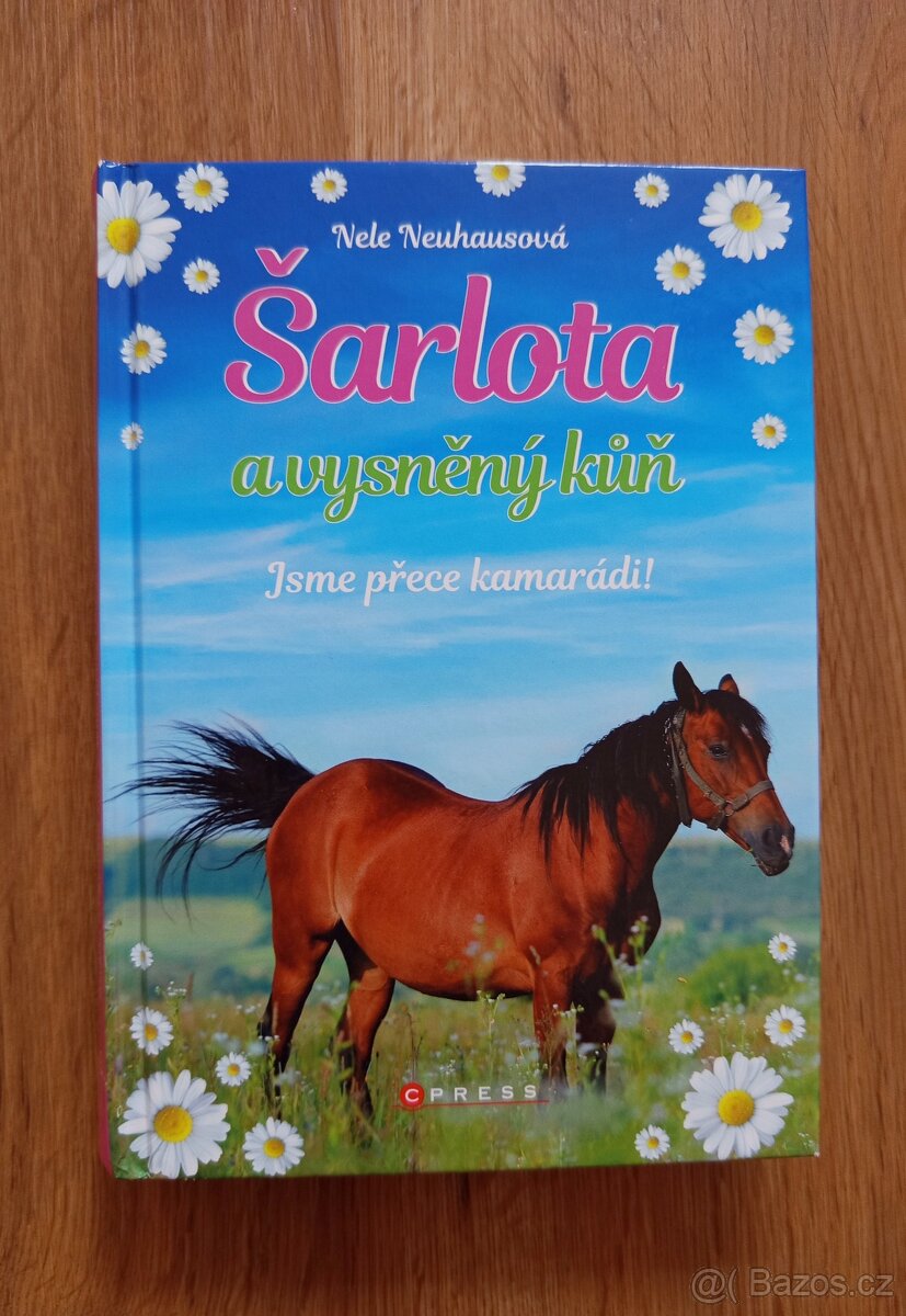 Šarlota a vysněný kůň - 6