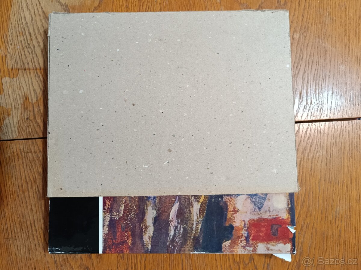 Kniha Antonín Slavíček autor: Jan Tomeš - 6