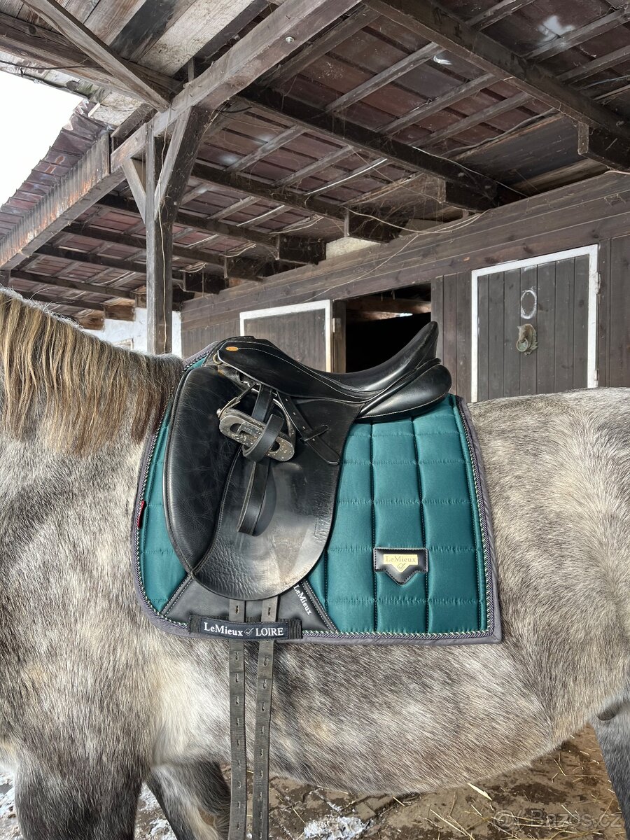 Kentaur Artemis 16,5” - 6