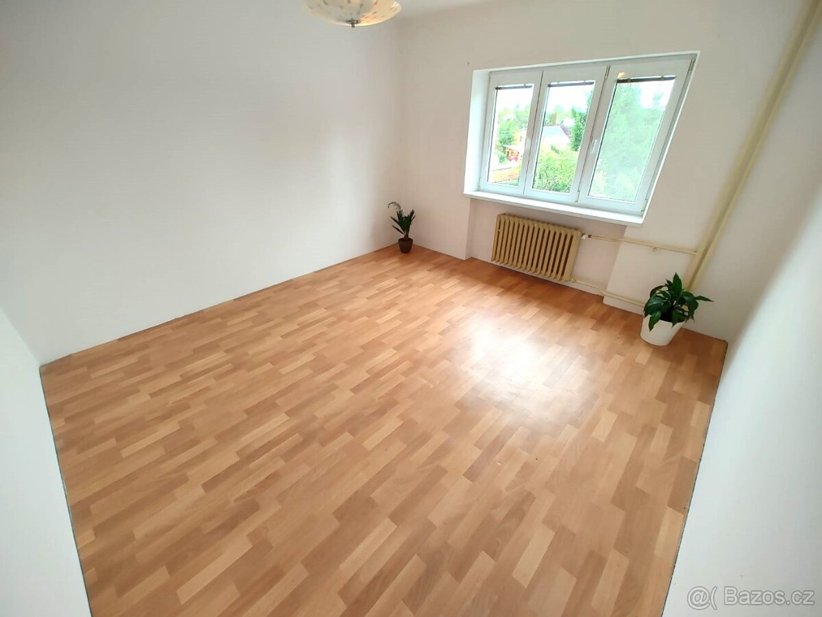 Prodej domu 200m² (pozemek celkově 1181m²), Zásada - 6