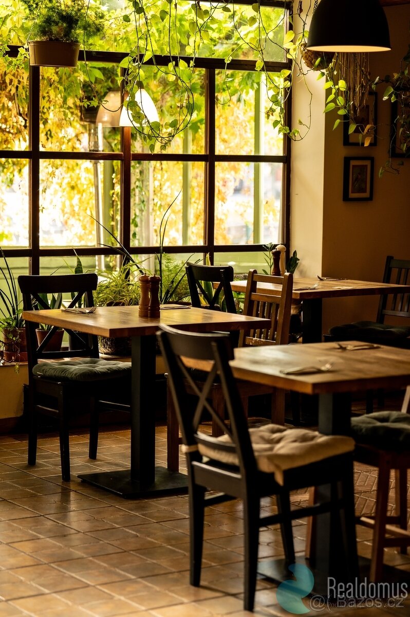 Pronájem, restaurace s ubytováním 150 m2 + 178 m2, Chvaletic - 6