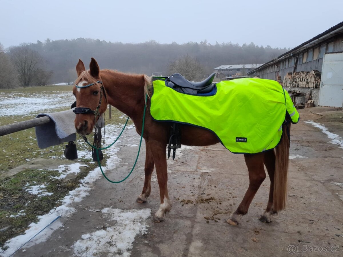 Korekční beránek a další cajky - 6