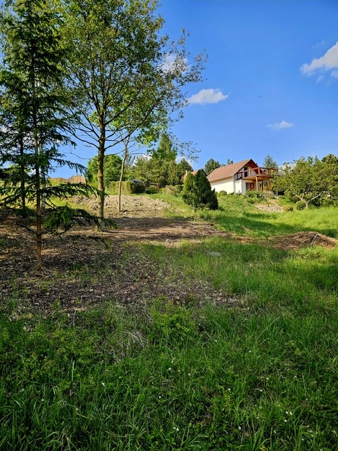 Predáme chalupu s obrovským pozemkom - 6