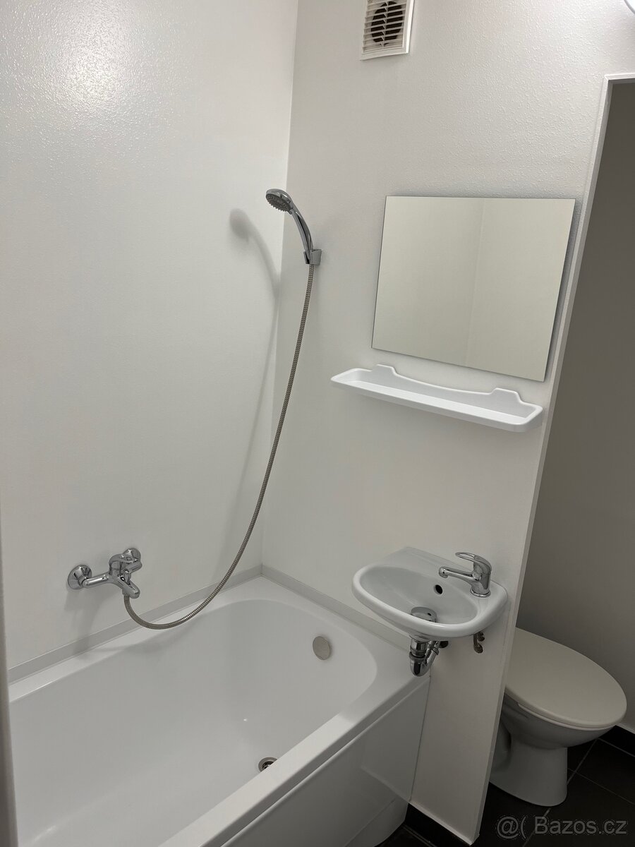 Pronájem bytu 1+1 Smiřice - 6