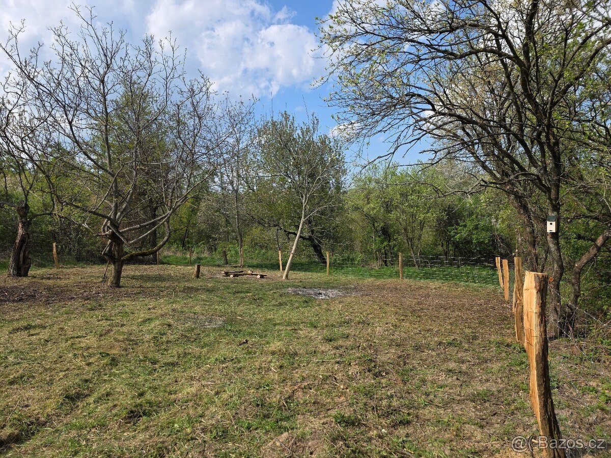 🌿 PRODEJ ZAHRADY – Újezdec u Osvětiman - 6