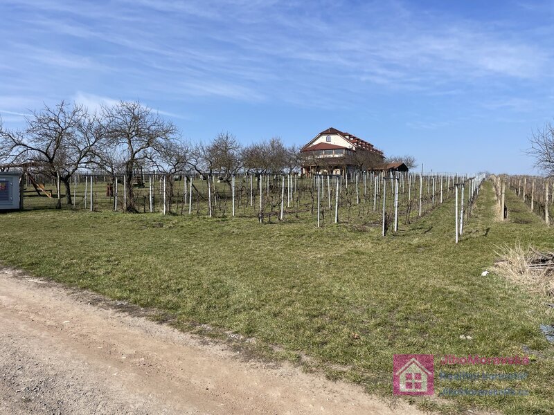 Prodej vinice v Rakvicích - 6